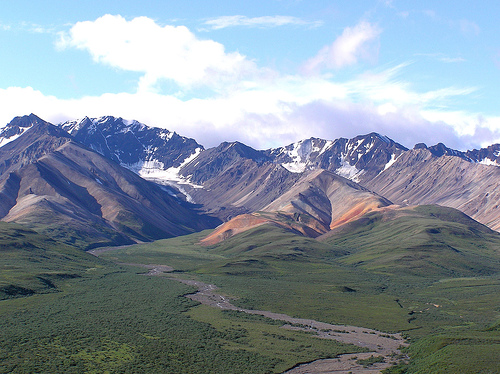 Denali National Park